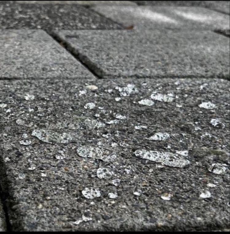 Transparante, PFAS-vrije impregnant beschermt tegen vuil en vocht